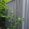 s-l1600-1-4-800x1067-1.webp 20′ Used Steel Shipping Container Storage Container